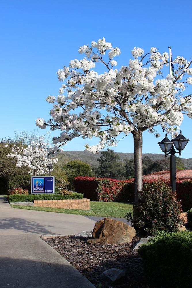 Hume Country Motor Inn Albury Zewnętrze zdjęcie